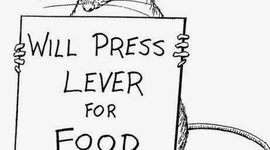 Timeline: Συμπεριφορικές Θεωρίες Μάθησης