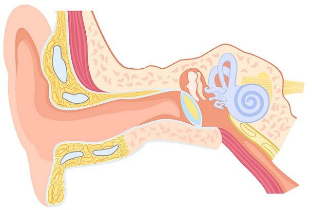 CREACION DE LA ESCUELA DE FONOAUDIOLOGIA