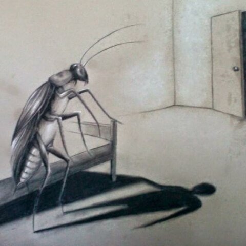 Obra •	La Metamorfosis