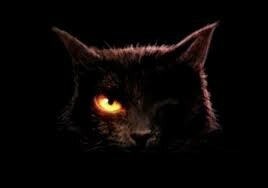 Obra •	El gato negro