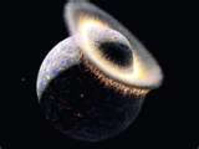 the end of the world