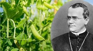 Gregor Mendel (1822-1884)