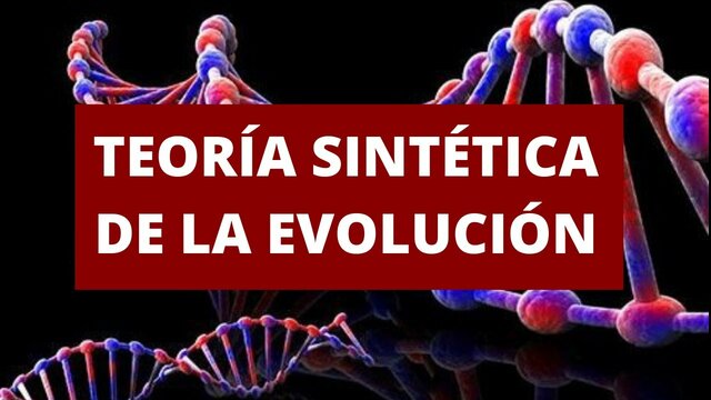 Teoria Sintetica o el Neodarwinismo de 1930-1940