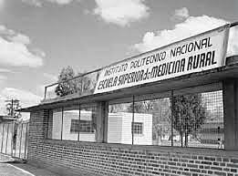 Se ordena el cierre del IPN