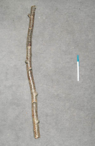 pre-iron: sticks and rocks