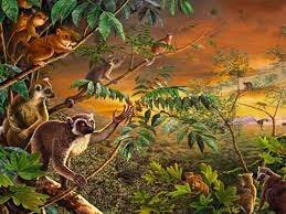 Aparecen verdaderos primates