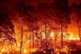 incendios forestales 2017 en chile