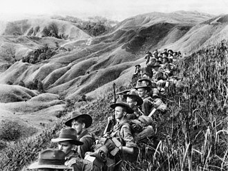 Battle of Seim