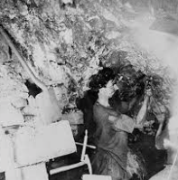 (3) Comstock Lode Discovered