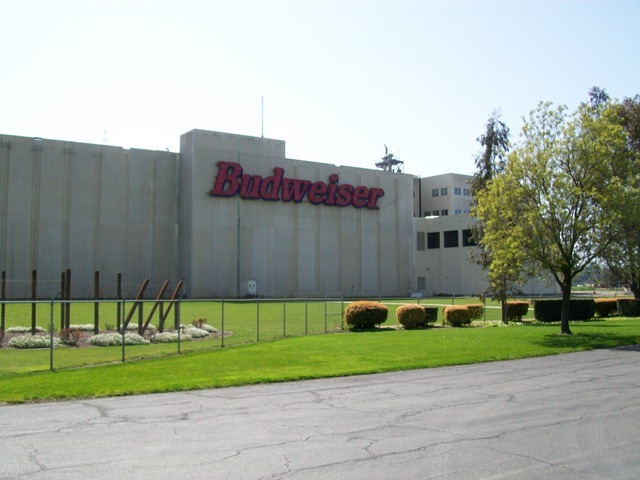 Budwieser Co.