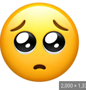 Gave my chinchilla away