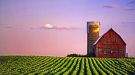 Timeline: Farm Bill Timeline