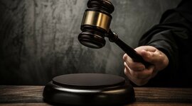 Timeline: Etapa del Proceso de Juicio Cynthia Flores Ruiz 202036154