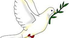 Timeline: Contextualización de la educación para la paz en la universidad