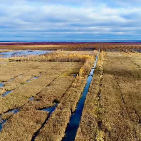 Food Security Act of 1985