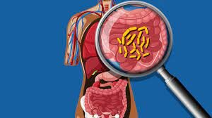 Los primeros estudios