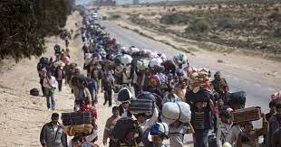 coseqüencies humanes