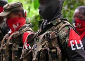 Creación de las FARC y el ELN