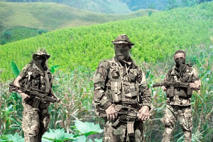 Surgimiento de paramilitares y del narcotráfico