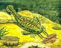 PALEOZOICA SILURIANO