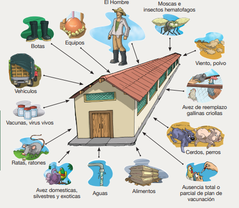 MANEJO MEDIOAMBIENTAL