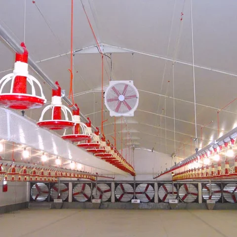 MANEJO DEL AMBIENTE INTERNO