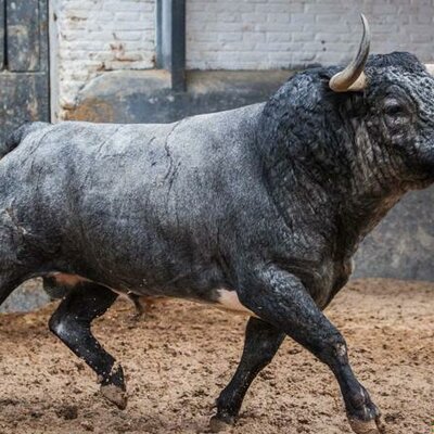 Timeline: MI proyecto