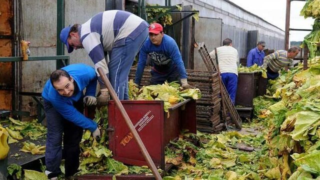 Se construye la finca mesillas