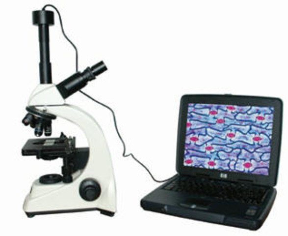 Digital Microscope