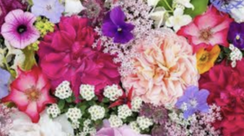 Timeline: It ends with us