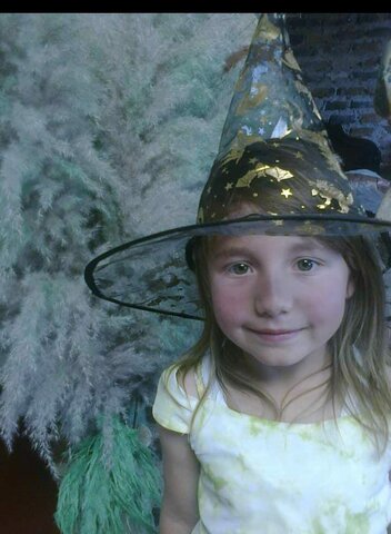 I entered the garden in 2011