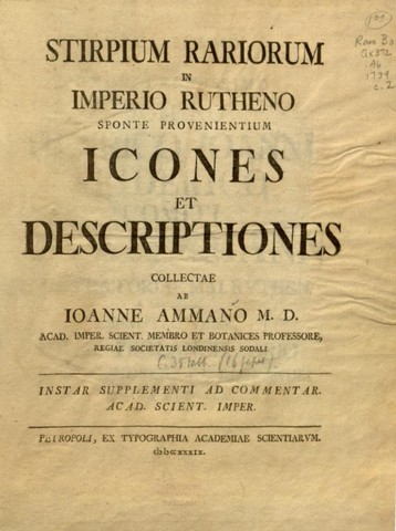 направлен к И. Амману