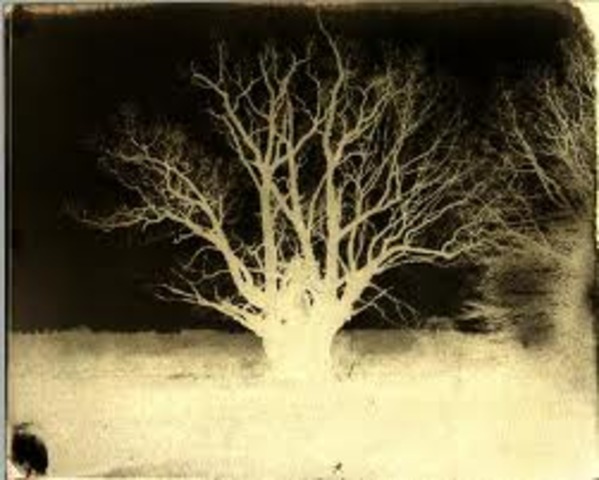 Calotype
