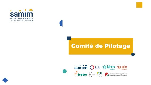 Comité de Pilotage​