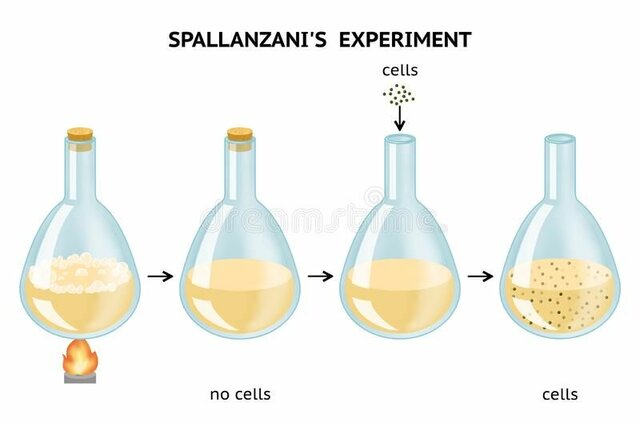 Spallanzani's experiment