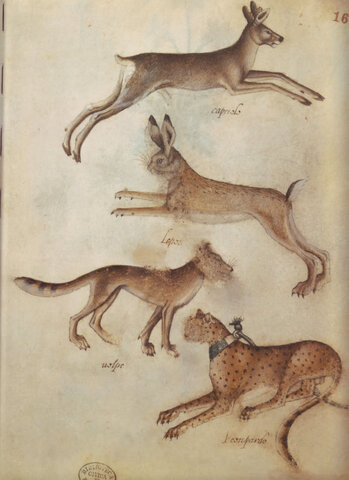 Giovannino de Grassi: 1350 - 1398