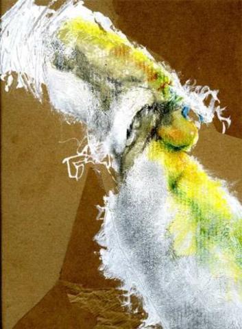 Descubre unas esporas blancas.