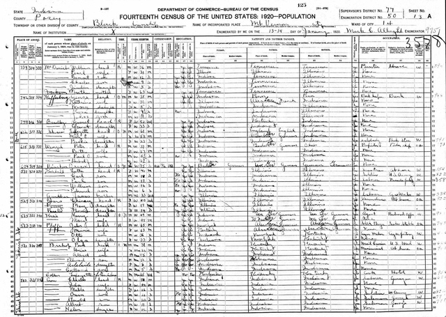 1920 US Census - Posey Co., Indiana, USA