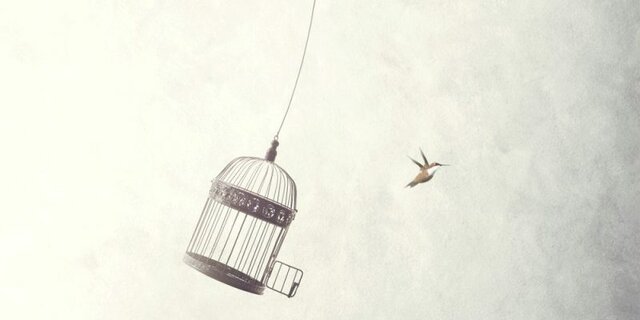 Libertad como acción y la libertad como destino