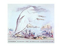 Siglo XIX - Teoría Miasmática