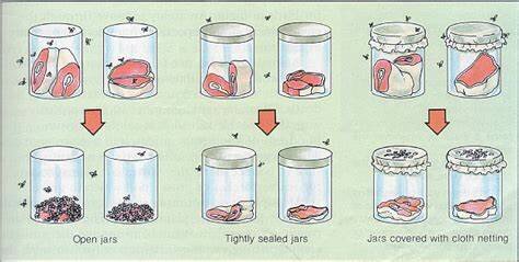 Redi's experiment details