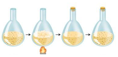 Needham's experiment