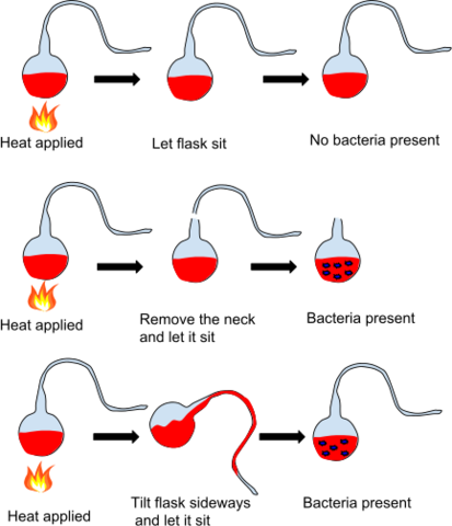 Pasteur's experiment