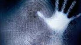 Timeline: Unwind Timeline Project