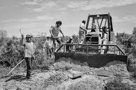 Milagro mexicano en la agricultura.