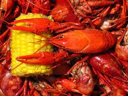 Where The Crawdads Sing