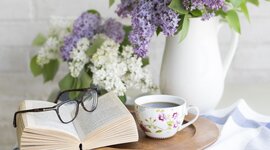 Timeline: LIRE QUEL PLAISIR