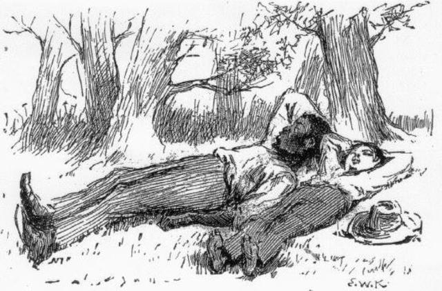 All go on own adventures