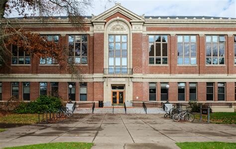 Sophomore in College