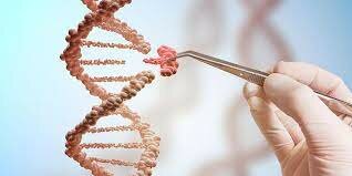 El corte y pega genético